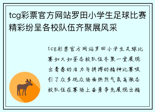 tcg彩票官方网站罗田小学生足球比赛精彩纷呈各校队伍齐聚展风采